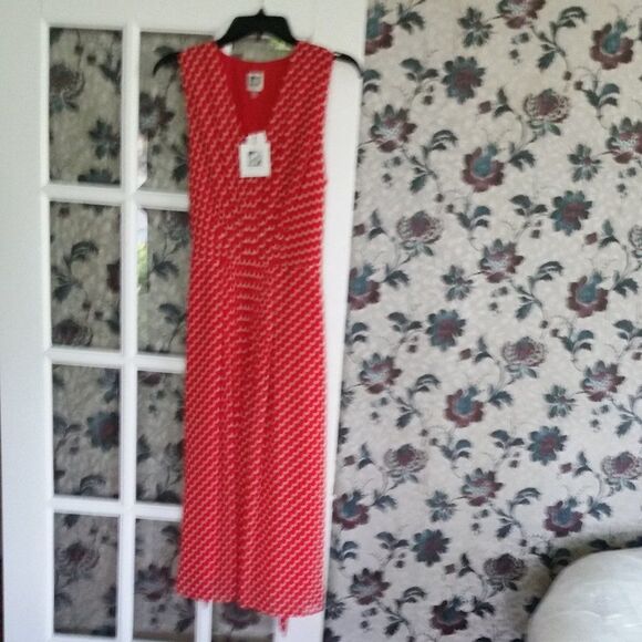 Dress NWT - Picture 1 of 6